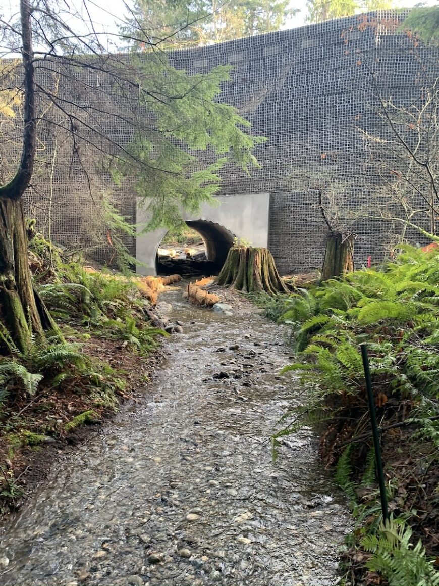 Harbour Reach new culvert and trail