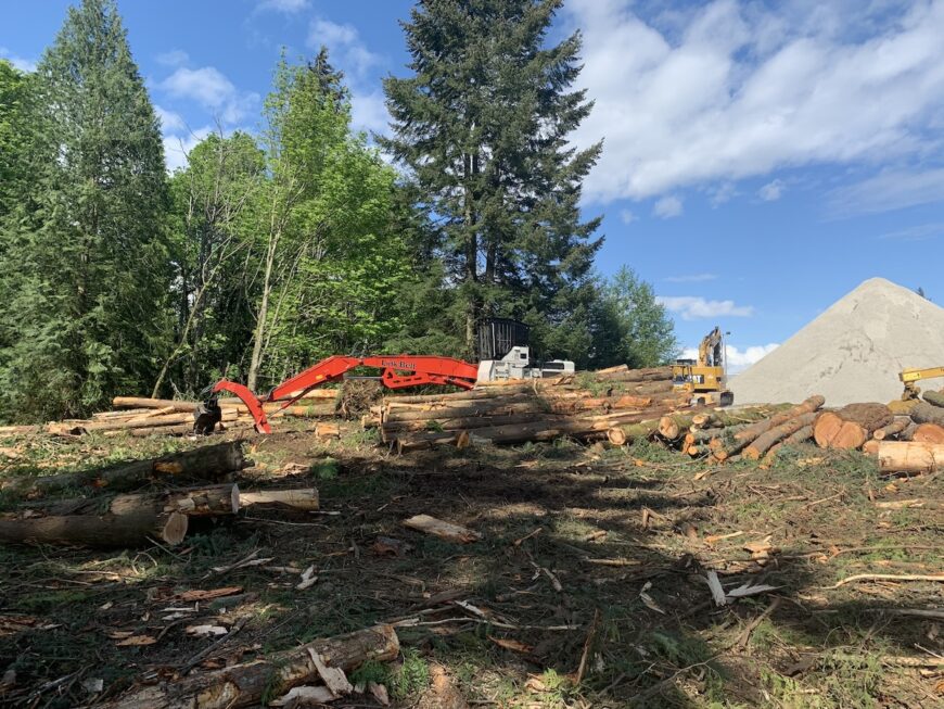 Harbour Reach machine taking down trees for new roadway