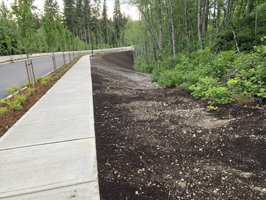 Harbour Reach newly constructed roadway and plantings