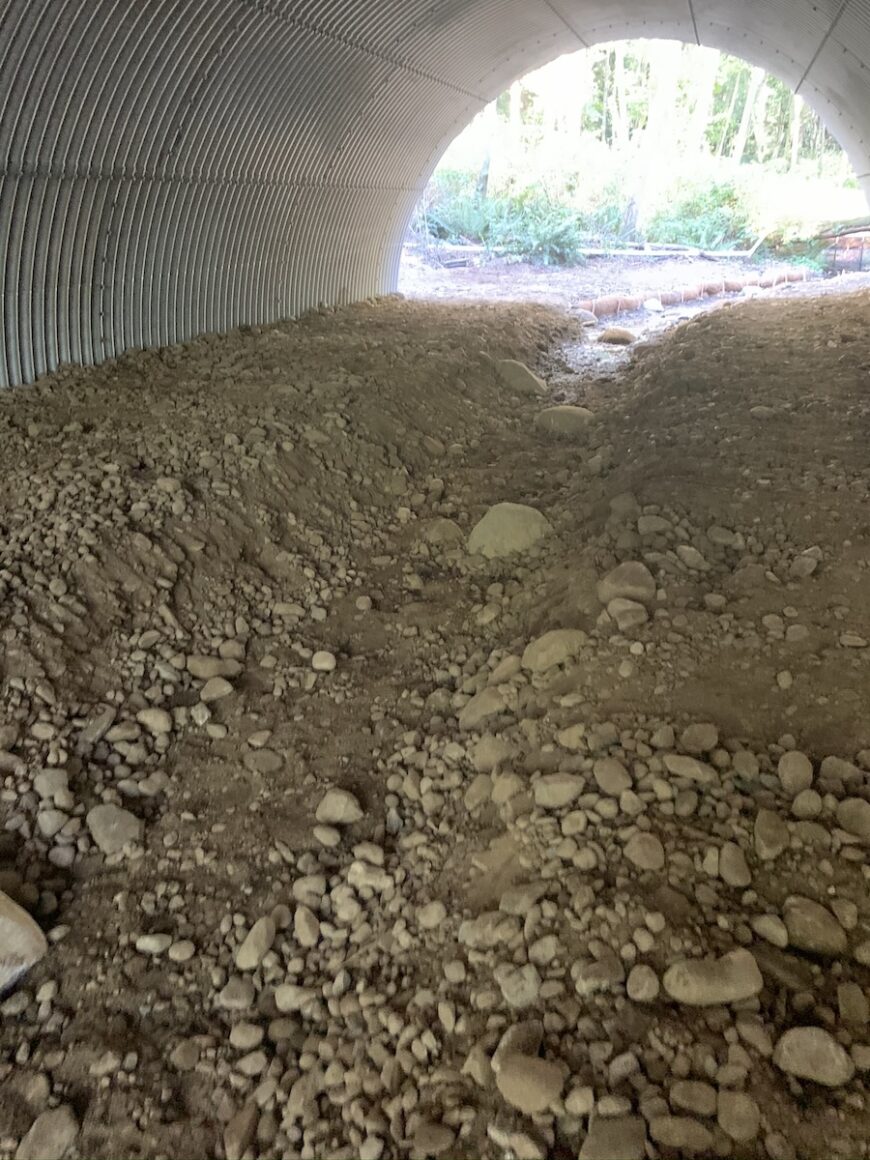 Harbour Reach culvert with natural habitat ground cover