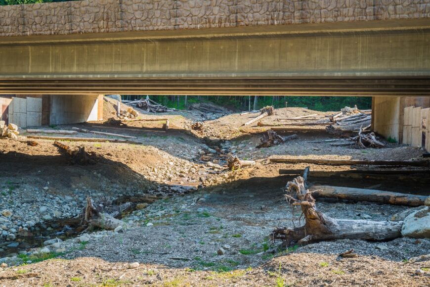 The Hyaks under I90 creek and natural habitat