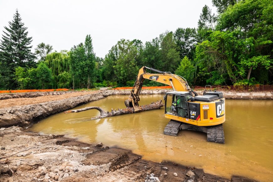 SR167 wetland mitigation